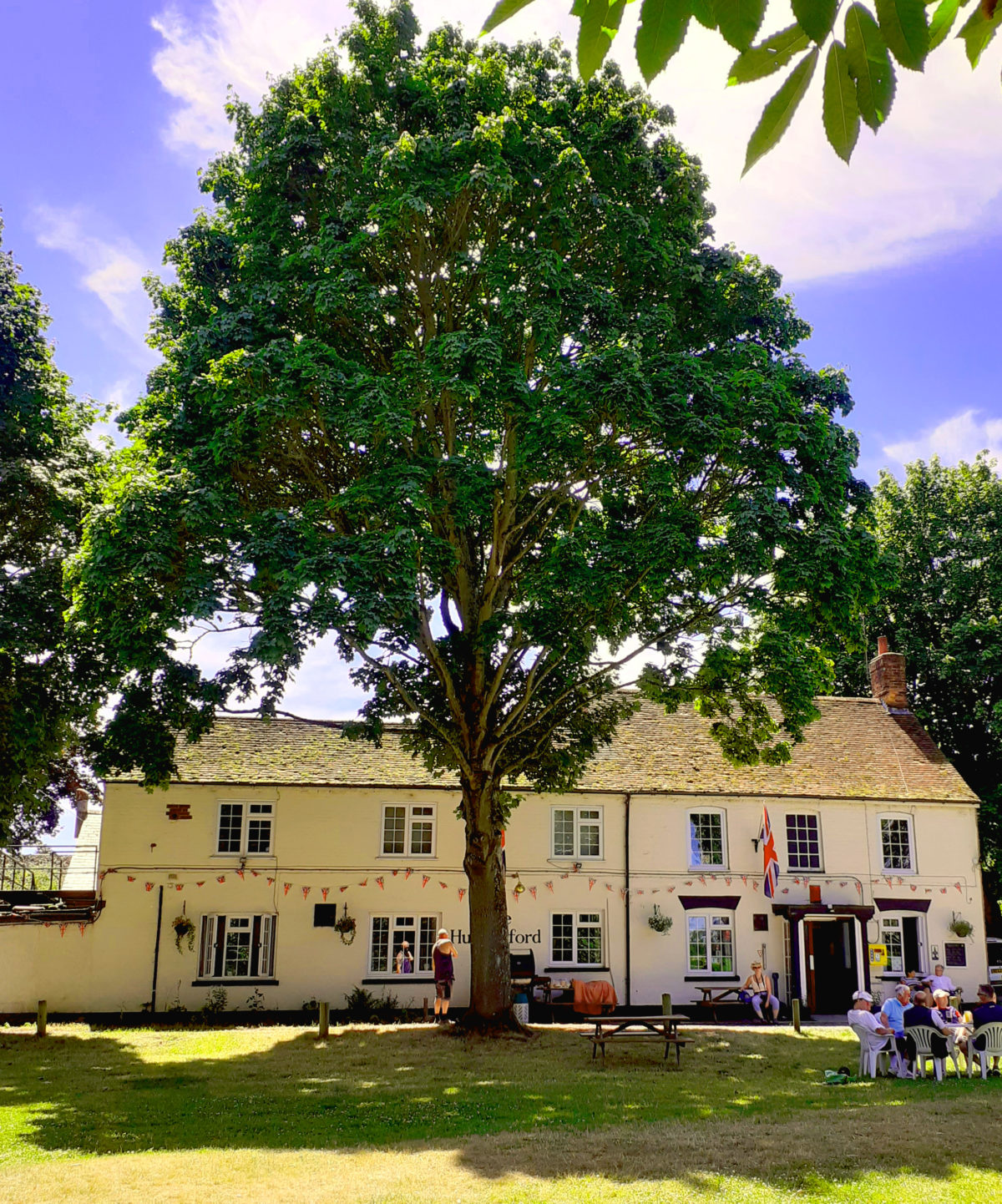 A hot July afternoon in The Croft with the Hungerford Club behind.